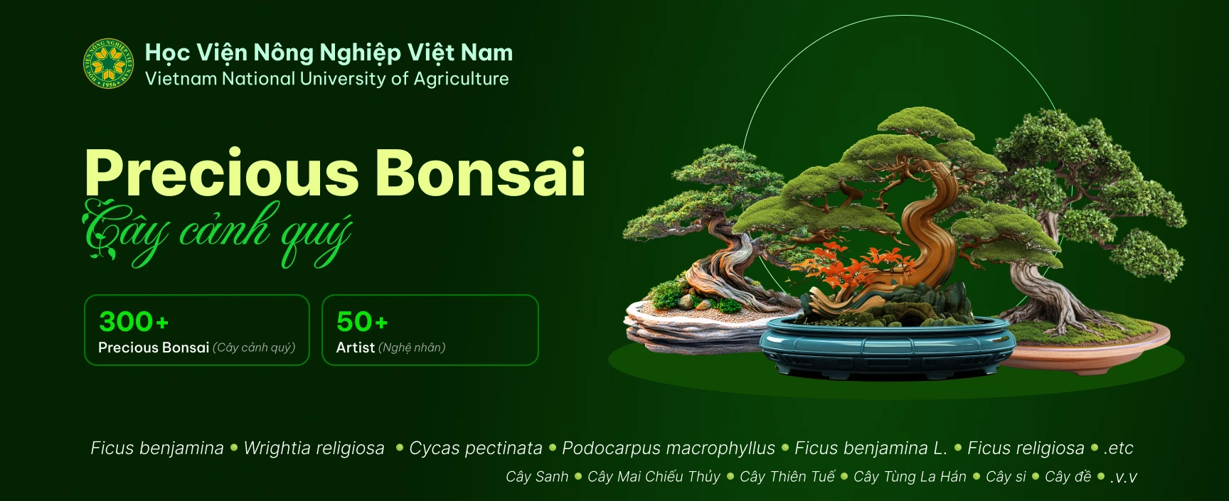 Cây cảnh quý banner