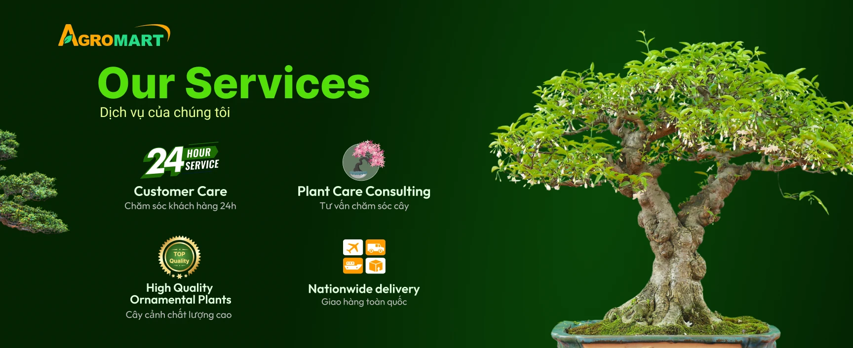 Desktop Category Banner 2