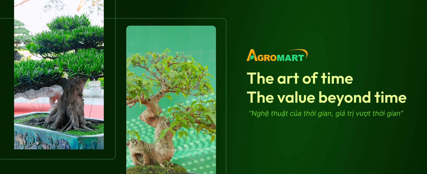 Desktop Category Banner 3