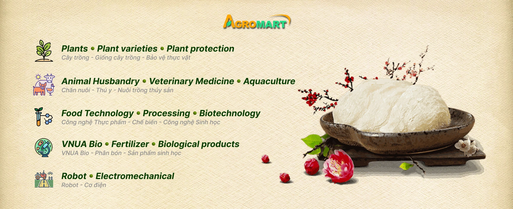 Desktop Category Banner 2