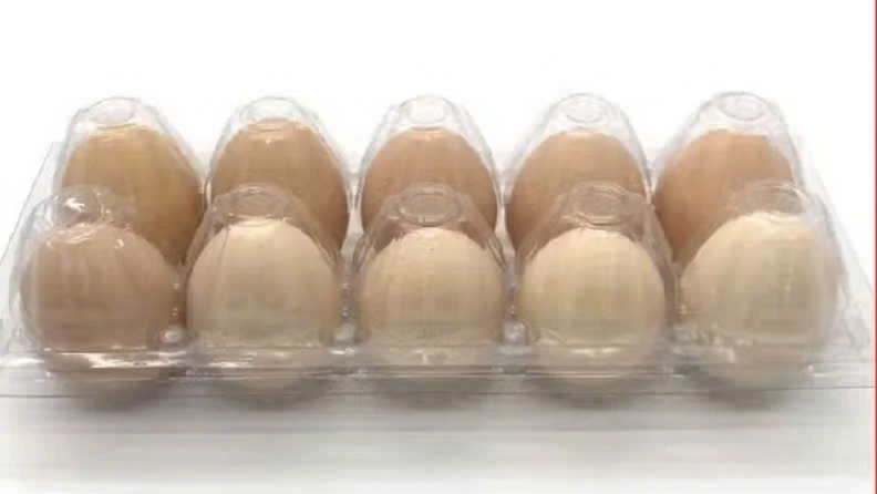 Trứng gà thảo dược Bio TCORTS